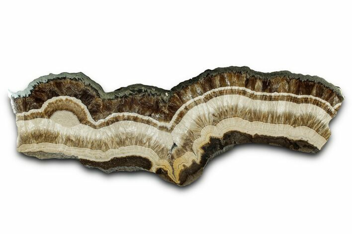 Polished Barite and Marcasite Slab - Lubin Mine, Poland #335172